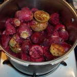 Prickly pear fruit chopped